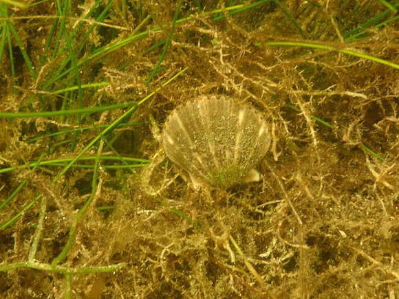 P7140677
