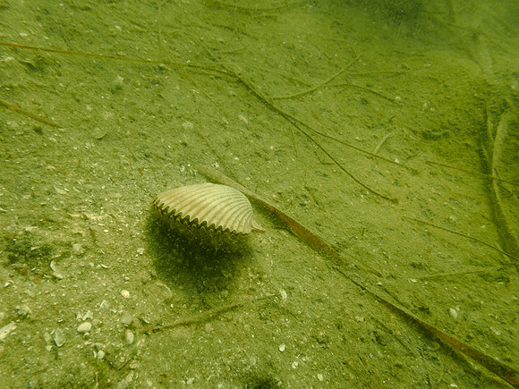 P7160805