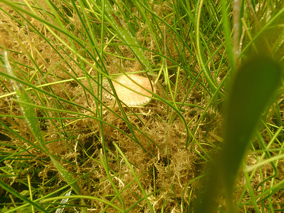 P7140729