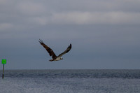IMG_1675