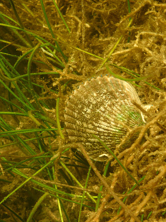 P7140728