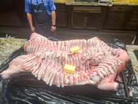 IMG_20240417_192237