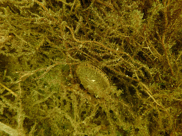 P7130576