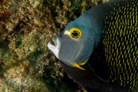 _MG_9594-Edit