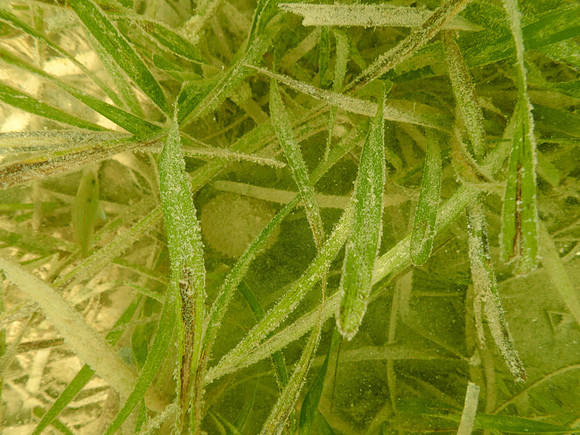 P7150788