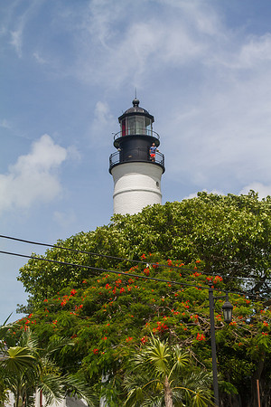 _MG_7672