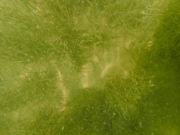P7150794