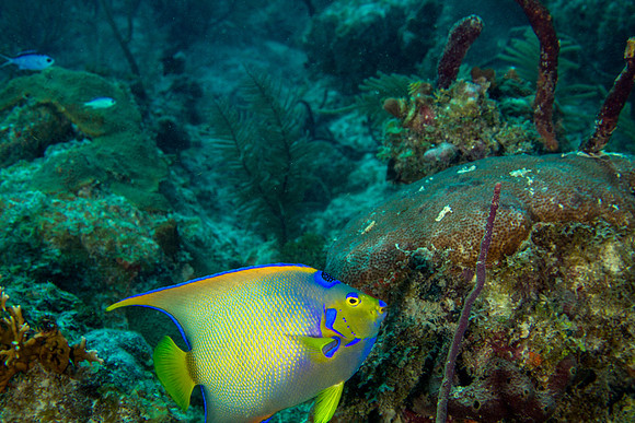 _MG_1032-Edit