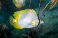 _MG_1707-Edit
