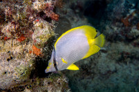 _MG_1709-Edit