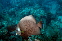 _MG_1726-Edit