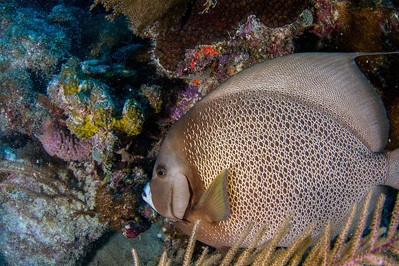 IMG_5060-Edit
