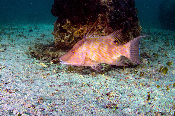 IMG_5157-Edit