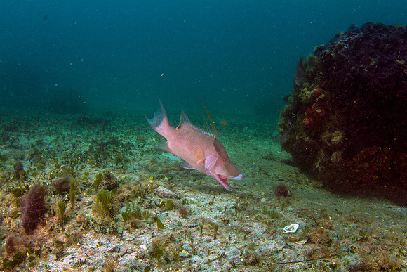 IMG_5167-Edit