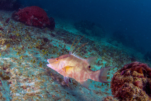 IMG_5177-Edit
