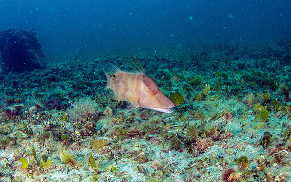 IMG_5196-Edit