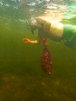 AncVillFuel Scallop DiveJeffsRocks SunsetCruise July 22nd, 2025!