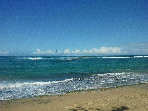 2013-01-21 12.29.45