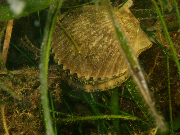 P7120542