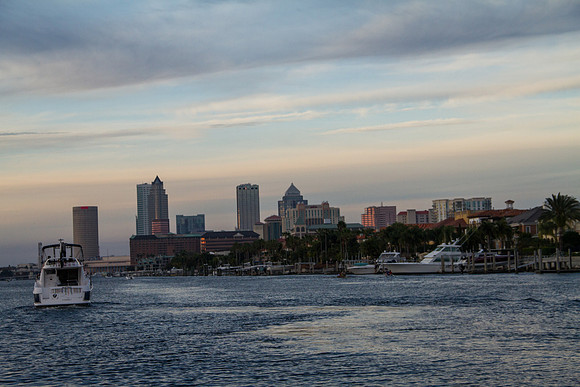 _MG_4175