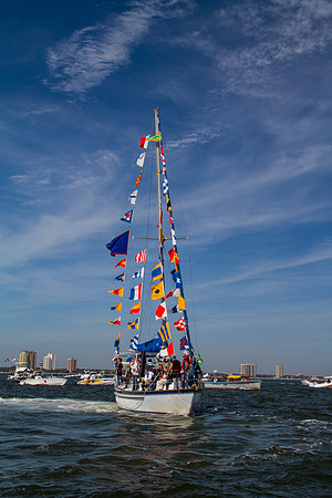 _MG_4335