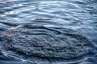_MG_4619-Edit