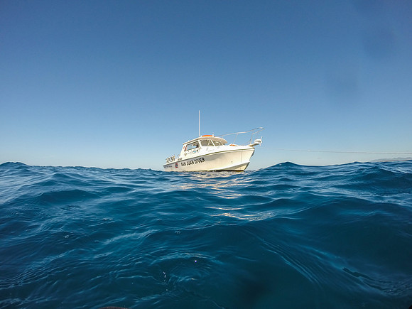 GOPR0916