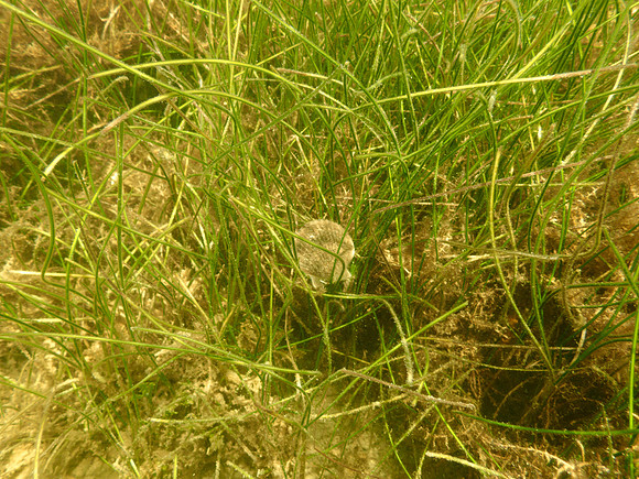 P7130625