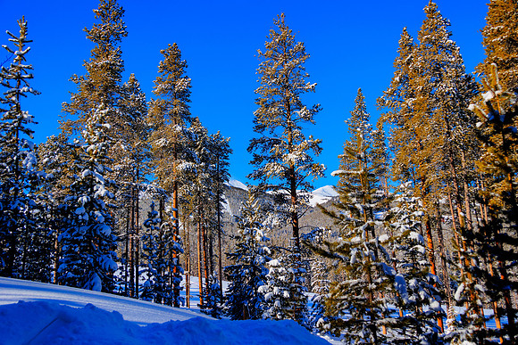 R6229793_4_5