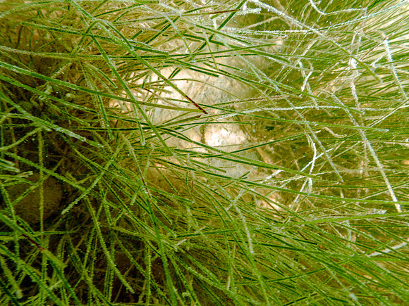 P7150792-Edit