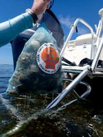 _7150798