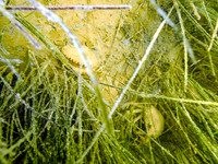 P7160812-Edit