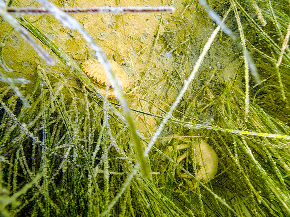 P7160812-Edit