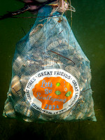 Scalloping NearAnclote 2Buckets SunsetCove Dinner July 16th, 2024!