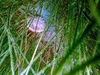 P7191003-Edit