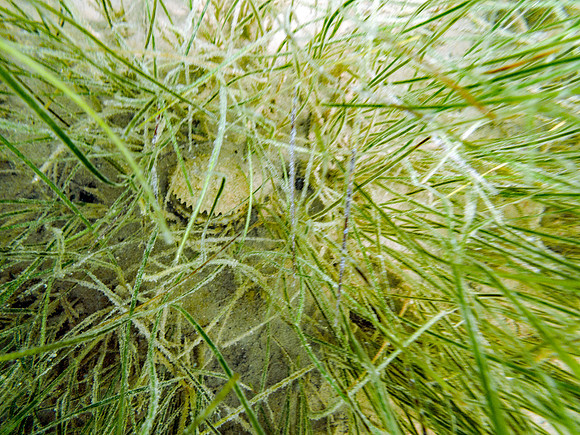 P7201068-Edit