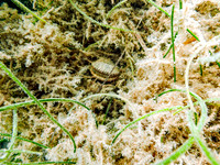 P7211112-Edit