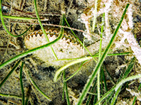 P7211125-Edit