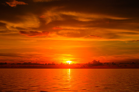 R6228848_49_50