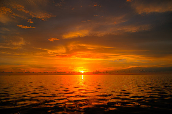 R6228854_5_6