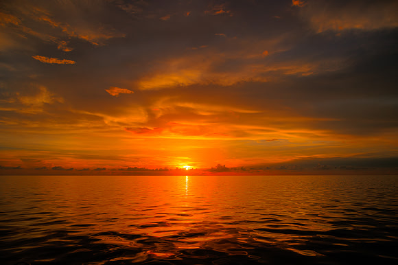 R6228860_1_2