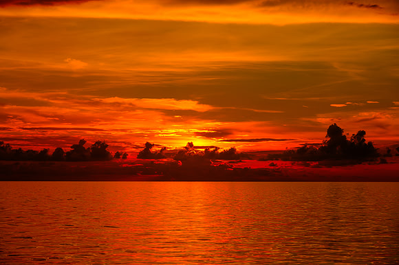 R6228870_1_2