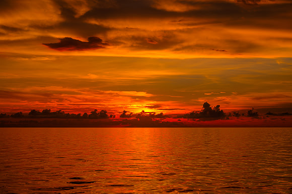 R6228873_4_5