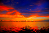 ScallopCatchRelease NAncloteSandBar TunaShrimpbyBob SunsetCruise July 25th, 2024!