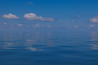 R6229126