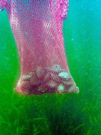 P9201615-Edit