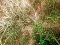 P9201620-Edit
