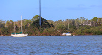 R6229728
