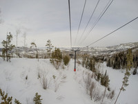 G0043551