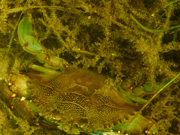 P7120558